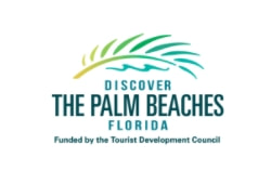 discover-palm-beaches